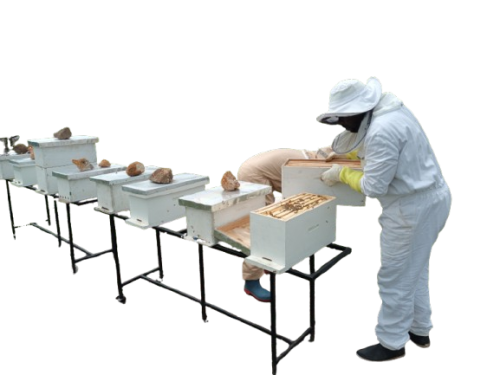 20231104_103411-removebg-preview