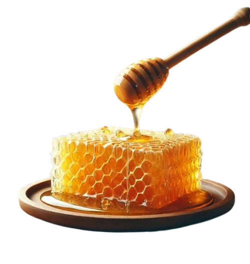 jhuri__1_-removebg-preview